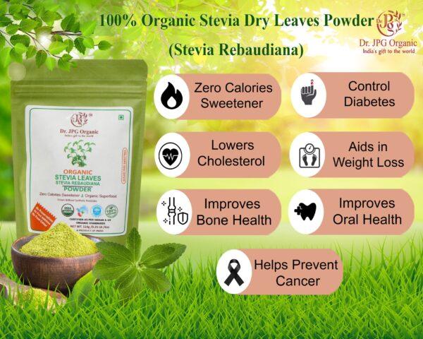 STEVIA DRY LEAVES POWDER11 scaled 1