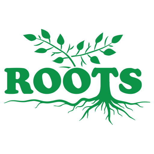 Vedic Roots