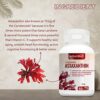 Plant Based Astaxanthin 6 mg for Eye, Joint & Skin Health - 60 Veg Capsules