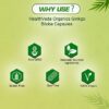 Ginkgo Biloba 120 mg Capsules I For Better Concentration, Memory & Learning - 60 Veg Capsules