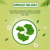 Ginkgo Biloba 120 mg Capsules I For Better Concentration, Memory & Learning - 60 Veg Capsules