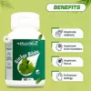 Ginkgo Biloba 120 mg Capsules I For Better Concentration, Memory & Learning - 60 Veg Capsules