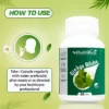 Ginkgo Biloba 120 mg Capsules I For Better Concentration, Memory & Learning - 60 Veg Capsules