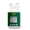 Ginkgo Biloba 120 mg Capsules I For Better Concentration, Memory & Learning - 60 Veg Capsules