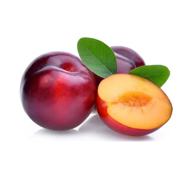 plum 800x800 1