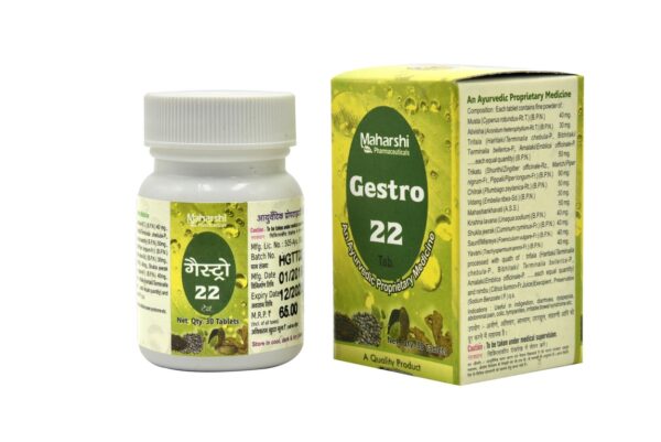 Gestro 22 Tab